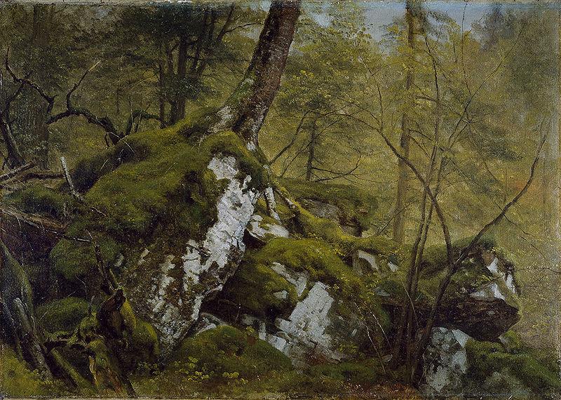 Asher Brown Durand Study of a Wood Interior Norge oil painting art